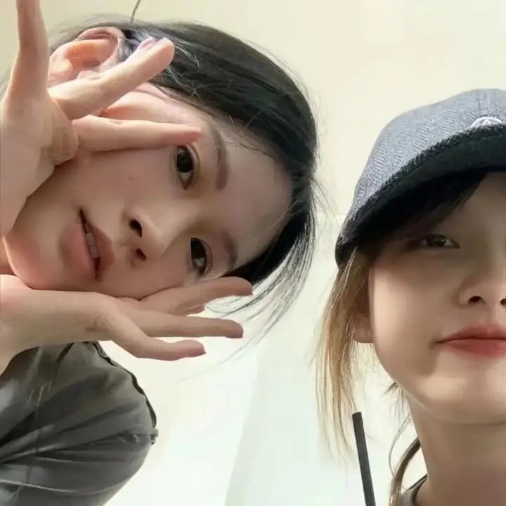 蜘蛛与郁金香